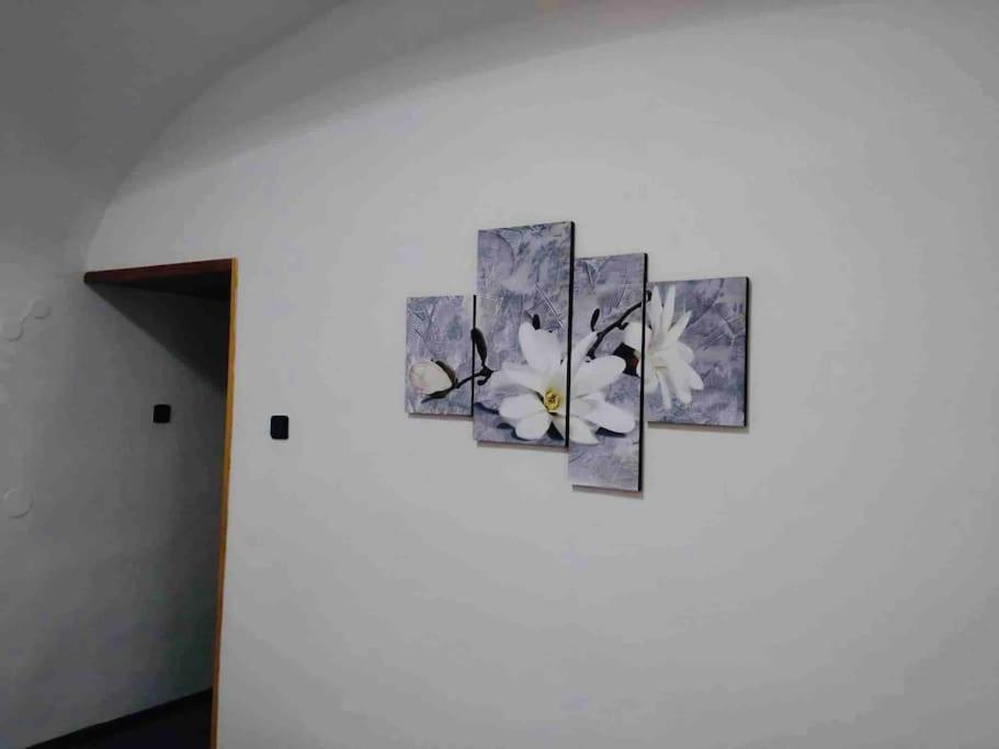 K&P Apartment In The Center プラハ エクステリア 写真